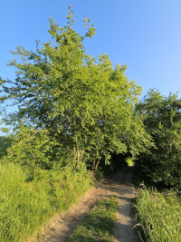 Coaching in der Natur